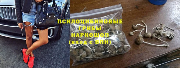 спайс Карталы